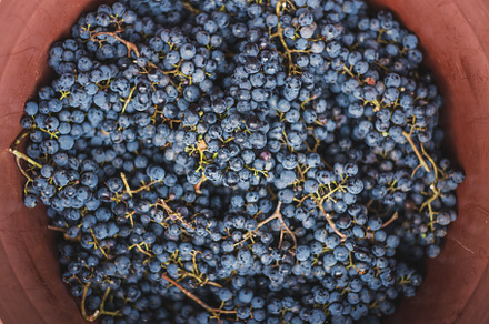 Winery preview 3
