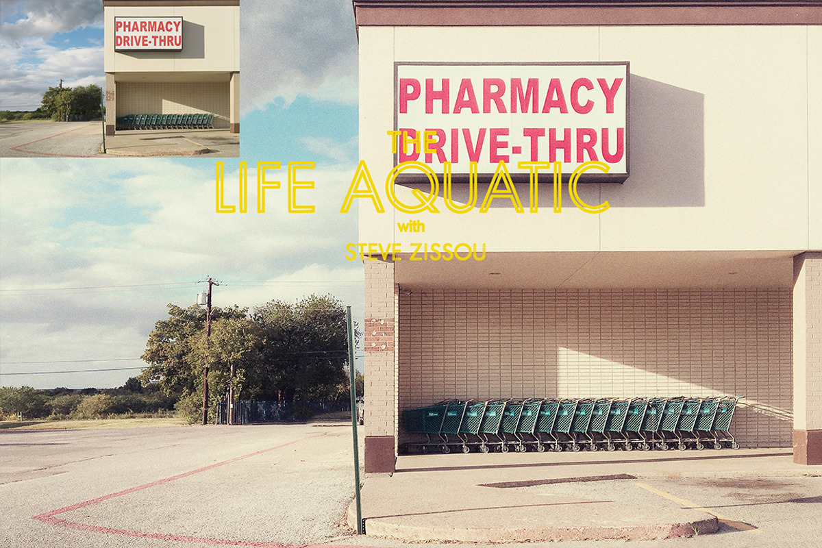 Wes Anderson-Inspired Actions for PS, an Action Add-On by Will Milne Photography (Photo 3 of 8)