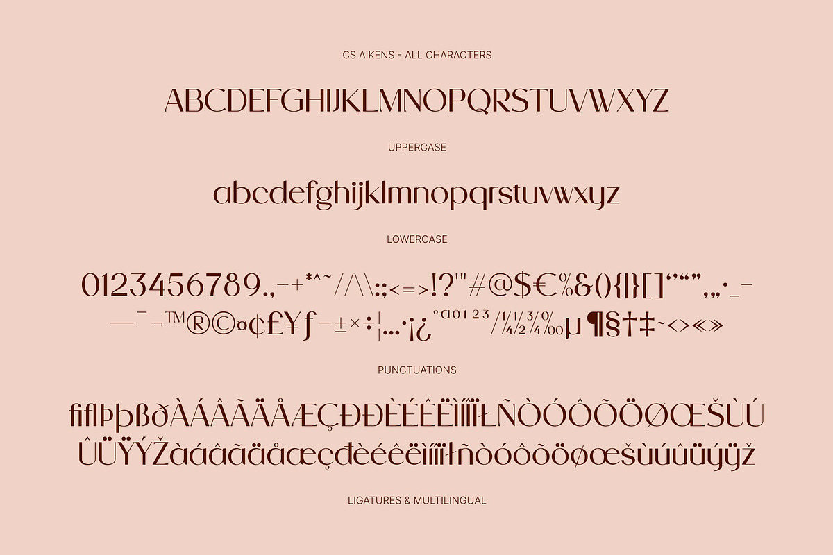 CS Aikens – Elegant Sans Serif, a Sans Serif Font by Craft Supply Co. (Photo 8 of 8)