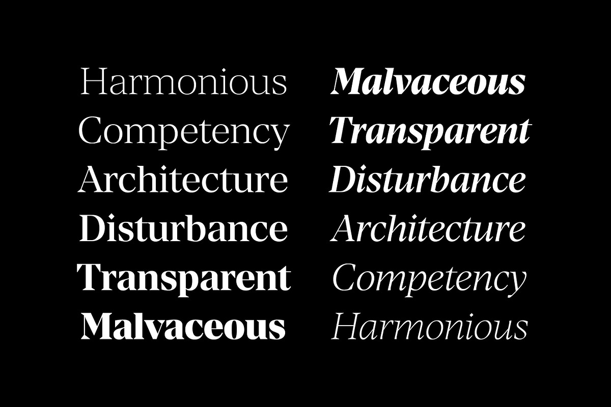 Manier – Sharp Serif Typeface, a Serif Font by Piotr Łapa (Photo 12 of 15)