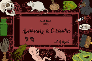Apothecary & Curiosities vector
