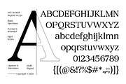 DTF Benhill - Serif Family, a Font by Dora Typefoundry (Thumbnail 10 of 11)