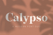 Calypso // A Modern Font Duo, a Serif Font by Megs Lang (Thumbnail 1 of 18)