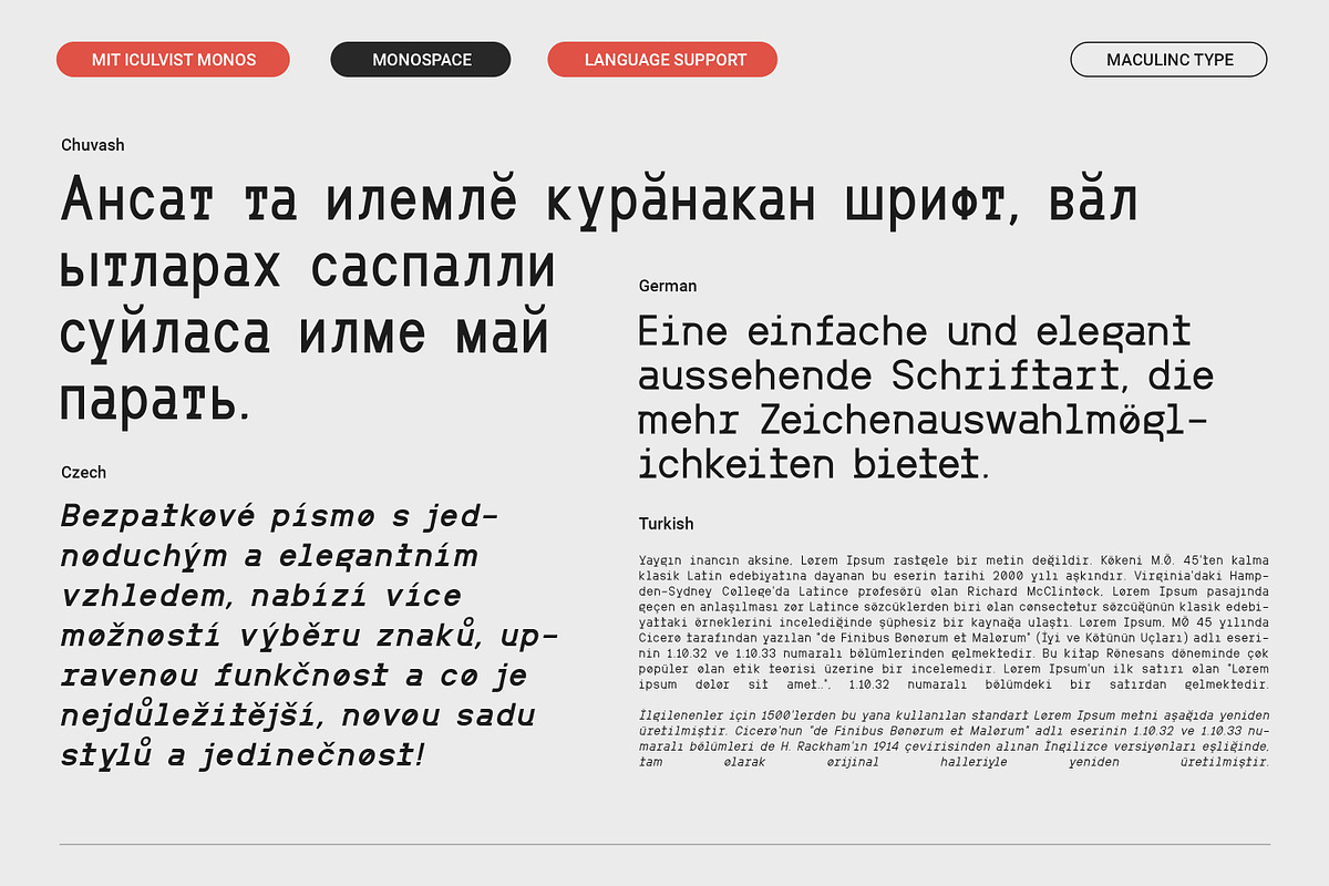 MIT Iculvist Monos | Variable, a Sans Serif Font by Maculinc Type (Photo 10 of 12)