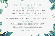Troye Font Trio - Clean & Luxury, a Serif Font by Craft Supply Co. (Thumbnail 20 of 28)