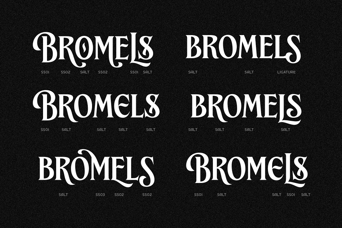 Brillante Siempre - Fancy Serif, a Serif Font by Arterfak Project (Photo 10 of 12)