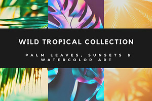 Luxury Tropical Nature, a Nature Photo by pictures for you