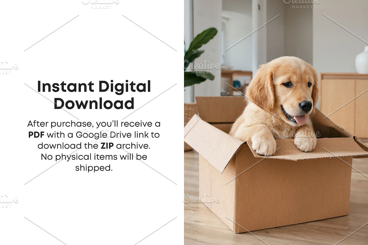 Dog Stock Photos Bundle, an Animal Photo by Selenique Studio (Photo 4 of 13)