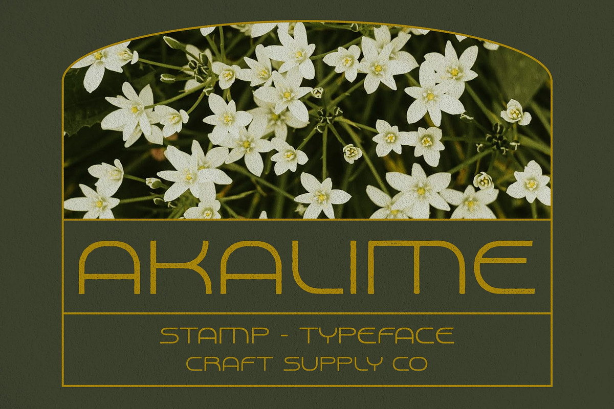 Akalime Stamp, a Sans Serif Font by Craft Supply Co. (Photo 1 of 8)