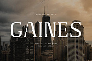Gaines Display Serif Font, a Serif Font by Storytype Studio (Thumbnail 1 of 15)