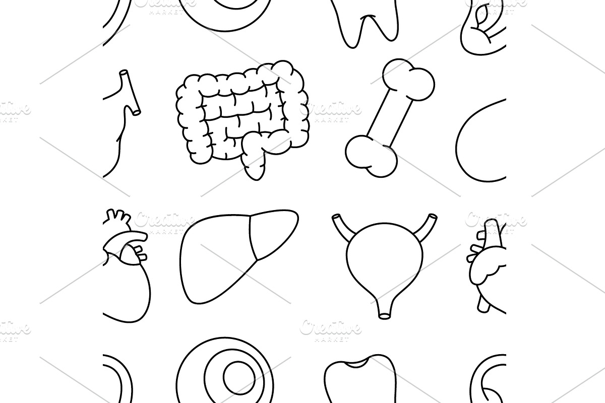 Organs outline pattern. Human, an Object Illustration by GraphiShop
