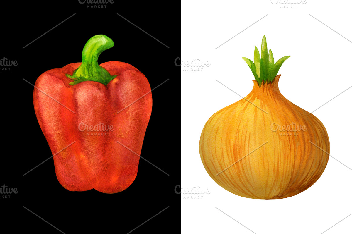 Watercolor set of vegetables, a Food Illustration by Color_Brush (Photo 5 of 7)