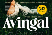 Avingal New Serif Bold Display, a Serif Font by AmorfaType (Thumbnail 1 of 11)