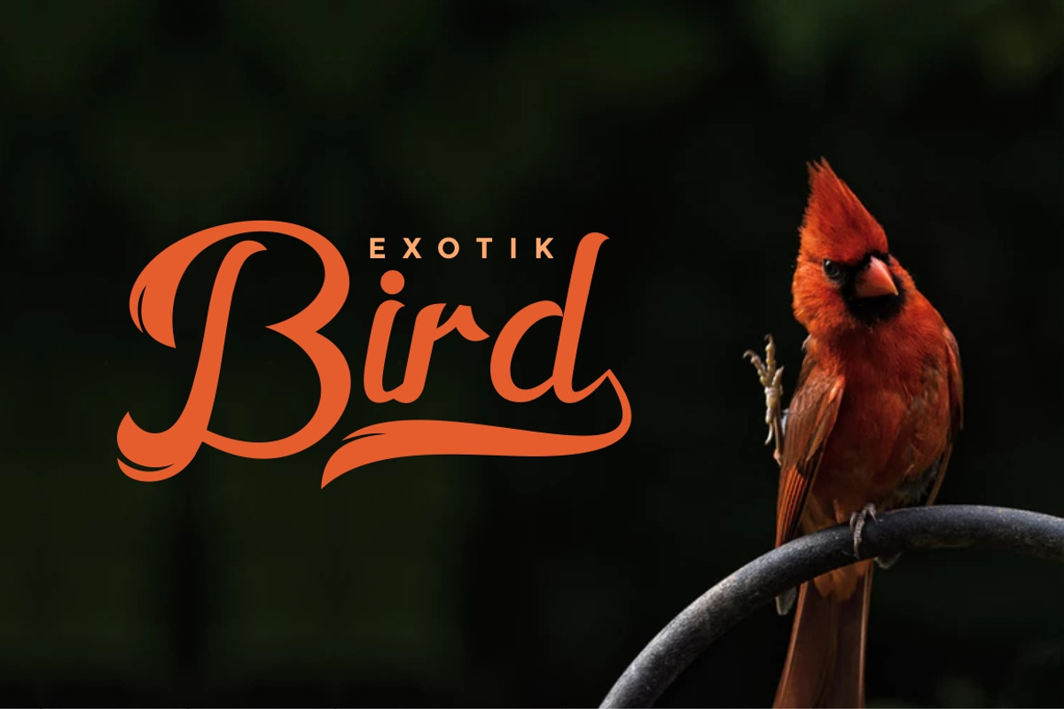 Horstail Typeface preview 3