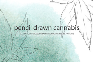 Pencil drawn cannabis