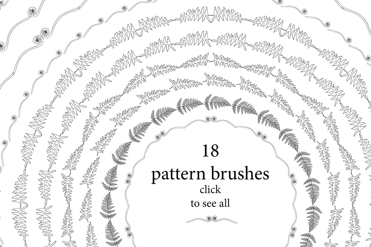 Doodle ferns and mushrooms, a Decorative Illustration by Funny-sunny (Photo 3 of 5)