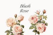 Watercolor Floral Bundle (45 in 1), a Decorative Illustration by Lana Elanor (Thumbnail 157 of 180)