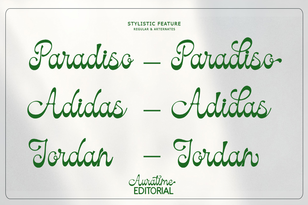 Auratime Editorial, a Script Font by StudioRhd (Photo 8 of 10)