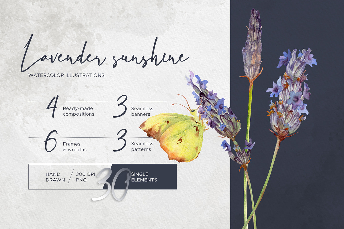Lavender sunshine, an Object Illustration by MsFlaffy (Photo 1 of 12)
