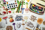 Mushrooms Watercolor Clipart, a Food Illustration by AnitaPol (Thumbnail 9 of 24)