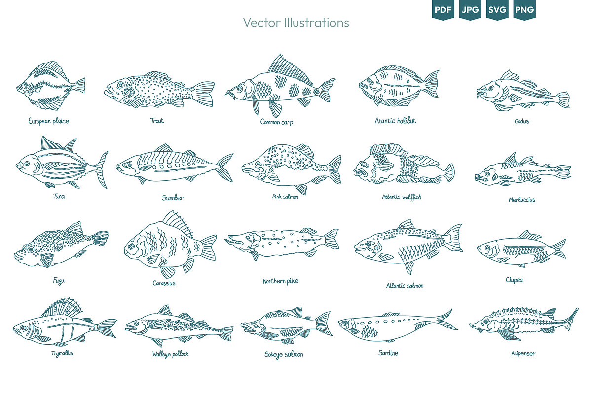 Seafood & Fish Vector Pack, an Animal Illustration by Ilia Design (Photo 2 of 10)