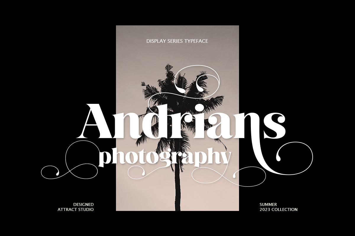 Display Series, a Serif Font by Attract Studio (Photo 7 of 15)