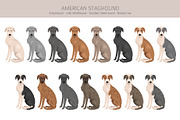 American Staghound dog, an Animal Illustration by pet design shop (Thumbnail 3 of 6)