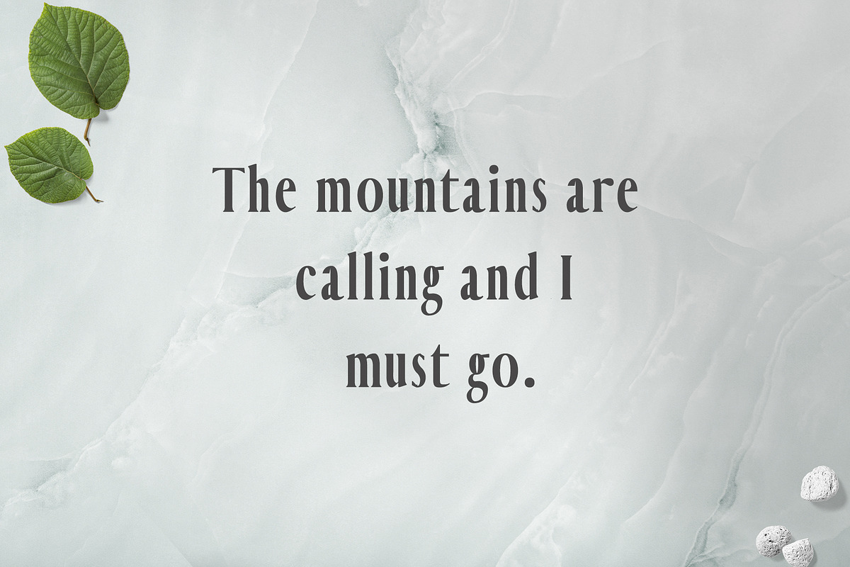 Hadwin Serif Font Family Pack preview 4
