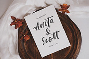 Palmist - SVG Script Font, a Script Font by Prioritype Co (Thumbnail 2 of 10)