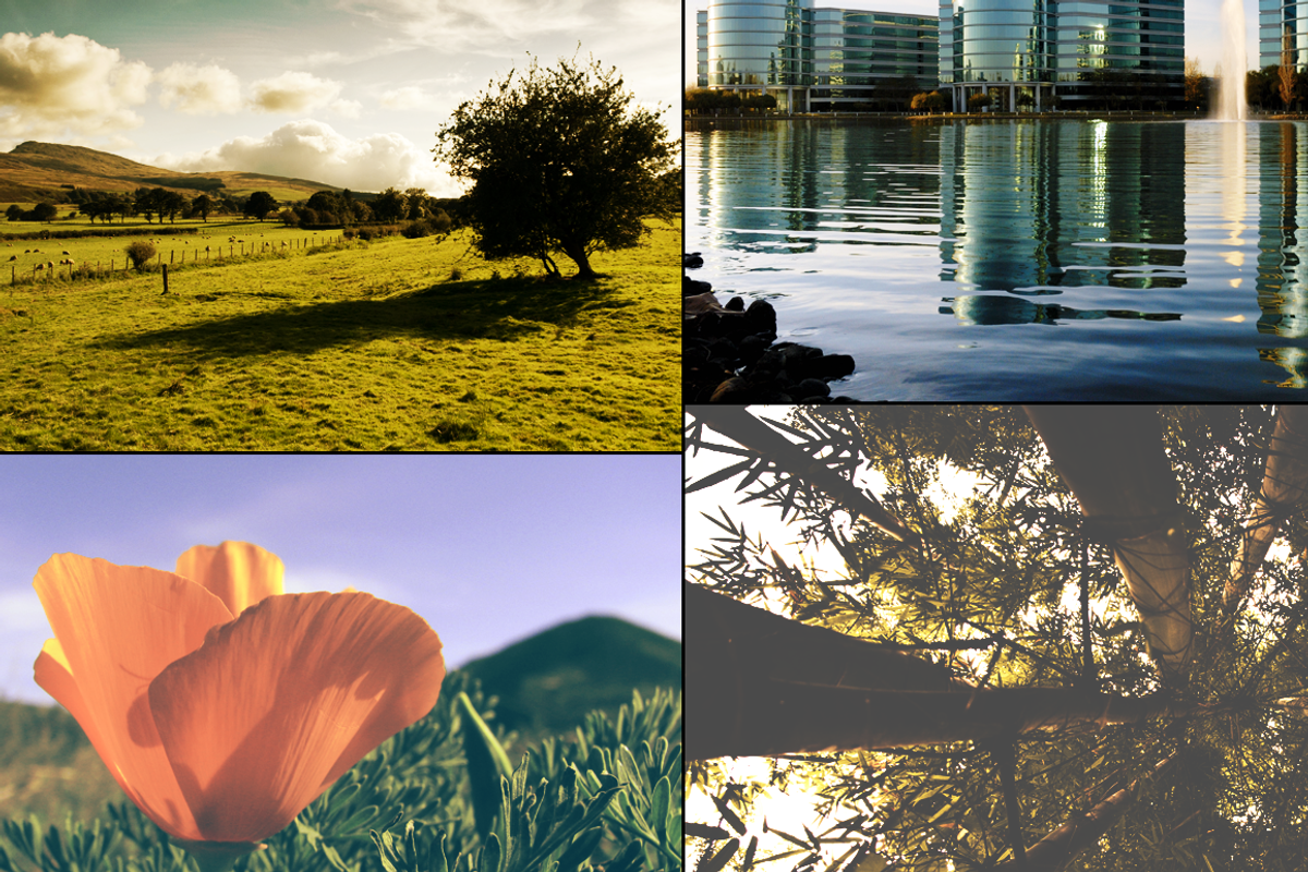 30 Pro Photo Actions Kit, an Action Add-On by Mike Moloney (Photo 3 of 5)