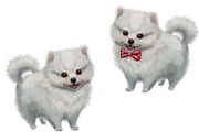 4 styles doggy pomeranian, an Illustration by art_mouse (Thumbnail 4 of 4)