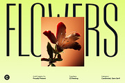 CS Resting – Modern Condensed Font, a Sans Serif Font by Craft Supply Co. (Thumbnail 7 of 8)