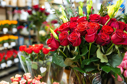 Beautiful Bouquet of Red Roses With, a Photo by Tanuart