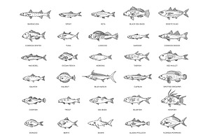 Saltwater fish set, an Animal Illustration by Tettygreen