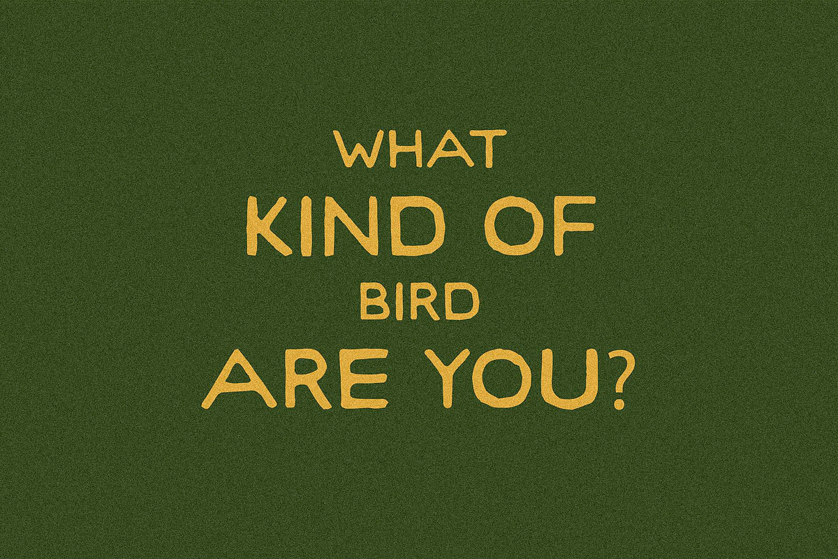 Woodrow I A Sans Serif Font, a Sans Serif Font by Taylor Penton (Photo 2 of 3)