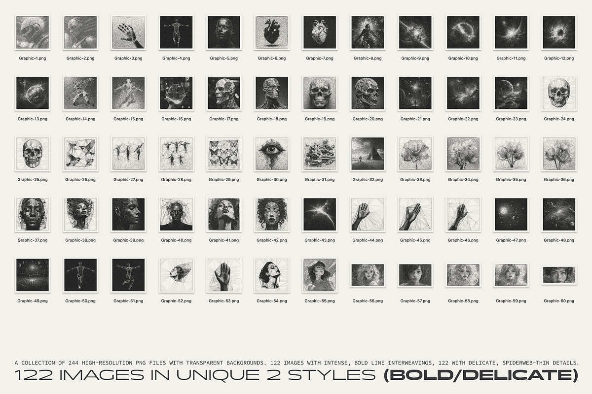 Interlace. 244 Spiderweb Graphics, a Graphic by softulka (Photo 5 of 6)