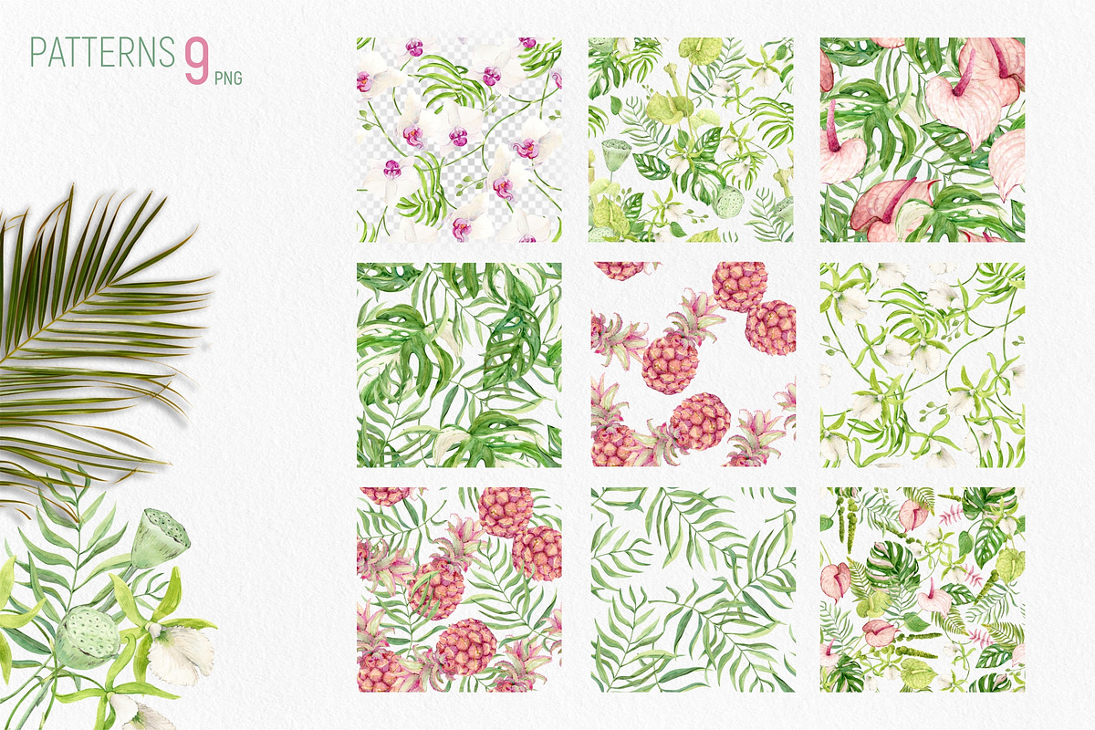 Tropical Flowers. Exotic flora set, an Illustration by Tata Pilip (Photo 12 of 21)