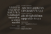 Kalisy Modern Serif Font, a Serif Font by Perfectype (Thumbnail 7 of 8)