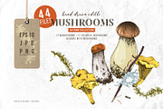 Natural food BUNDLE, a Food Illustration by handsketched (Thumbnail 20 of 26)