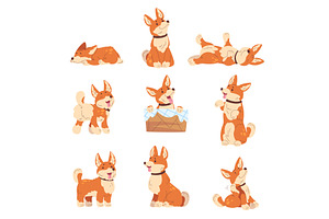 Corgi poses. Cartoon welsh puppy, an Animal Illustration by Stock-Smart-Start