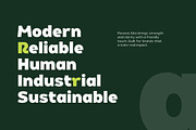 Pavona Alta - Pure Renewable Sans, a Sans Serif Font by twinstd (Thumbnail 2 of 13)