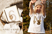 Warm Autumn baby collection, an Animal Illustration by polikarpovaart (Thumbnail 11 of 14)