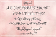 Winter Miracle, a Script Font by Larin Type Co. (Thumbnail 8 of 9)