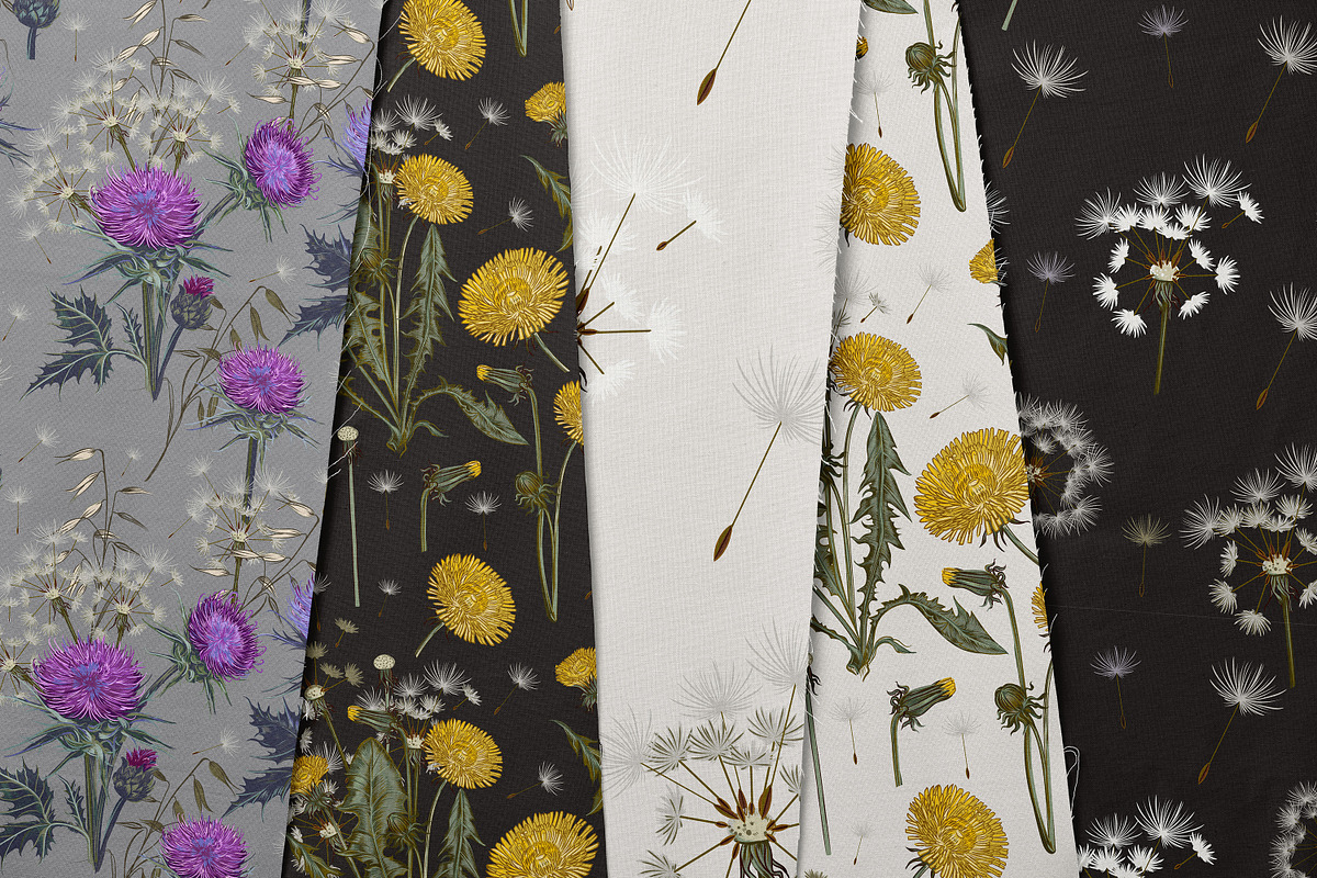 Dandelion wildflowers patterns set, a Seasonal Illustration by FleurArt (Photo 2 of 11)