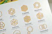Hexagon Logo Emblems, a Branding & Logo Template by Artha Desain (Thumbnail 7 of 8)