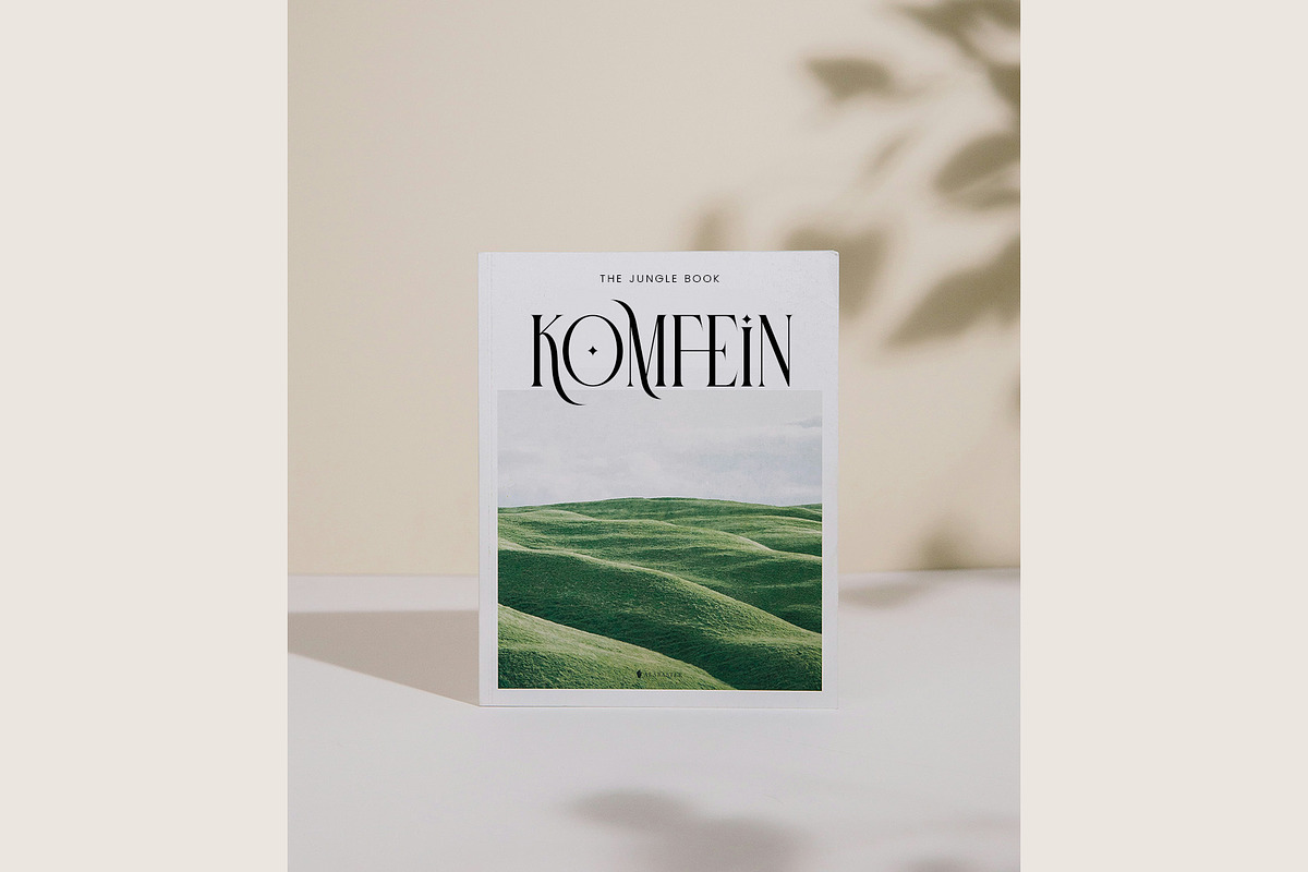 ELOVIA - Modern Ligature Typface, a Serif Font by AnnofaType (Photo 4 of 8)