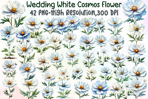 Wedding White Cosmos Flower Clipart, an Illustration by Sublimation Artist