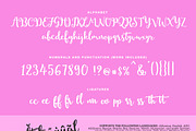 Aareata Script, a Handwritten Font by supfonts (Thumbnail 8 of 8)