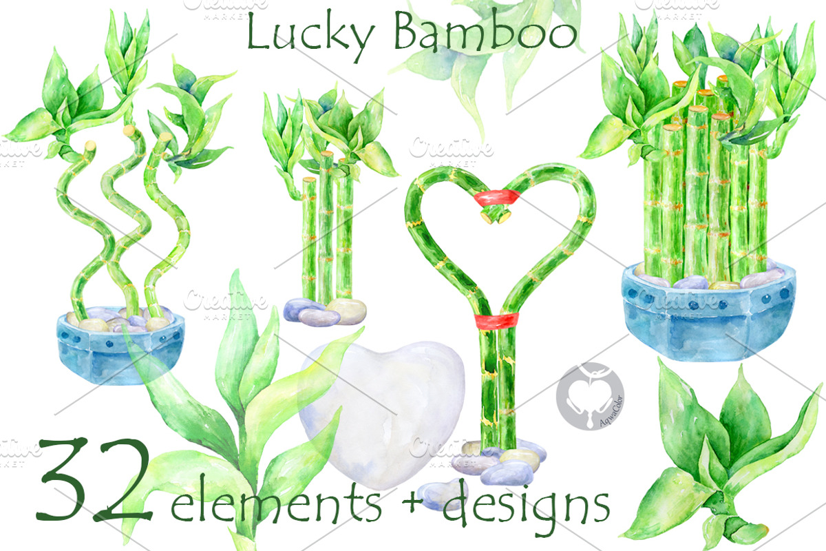 Lucky Bamboo - watercolor clipart, an Illustration by AqwaColor (Photo 1 of 4)
