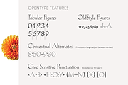 Hellen - Serif Font, a Serif Font by Genilson Santos (Thumbnail 17 of 21)